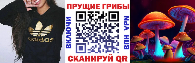 Псилоцибиновые грибы ЛСД  цена   Усть-Лабинск 